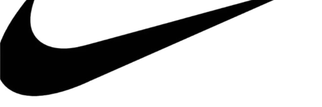 Fisk Athletics banner