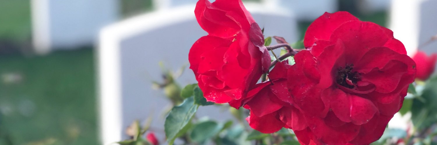 missgunnell's profile banner image