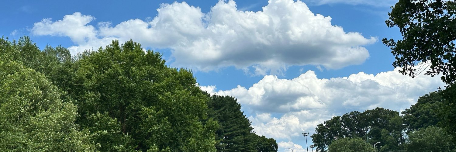 JFFotomam's profile banner image