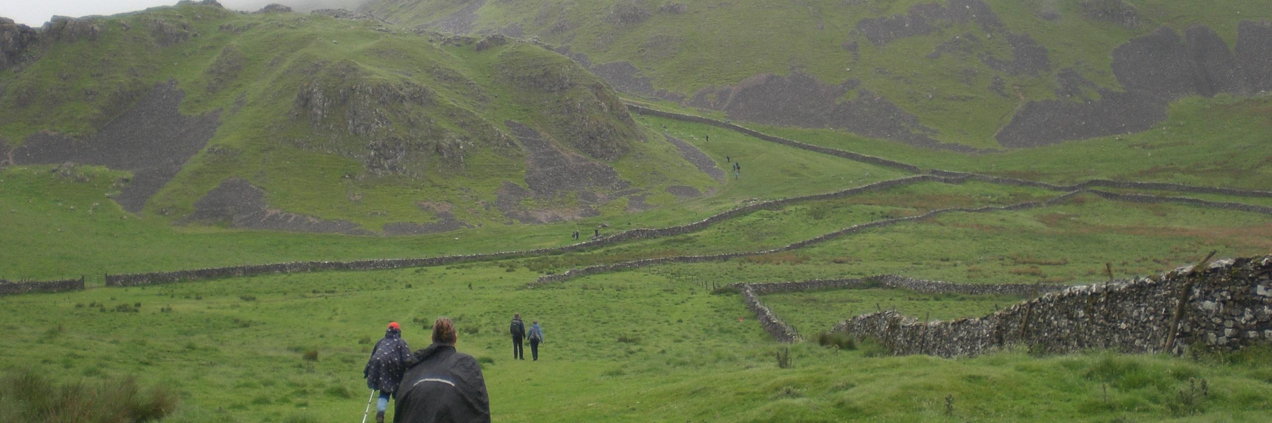 NLFwalkers's profile banner image