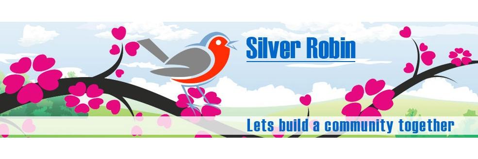silver_robin1's profile banner image