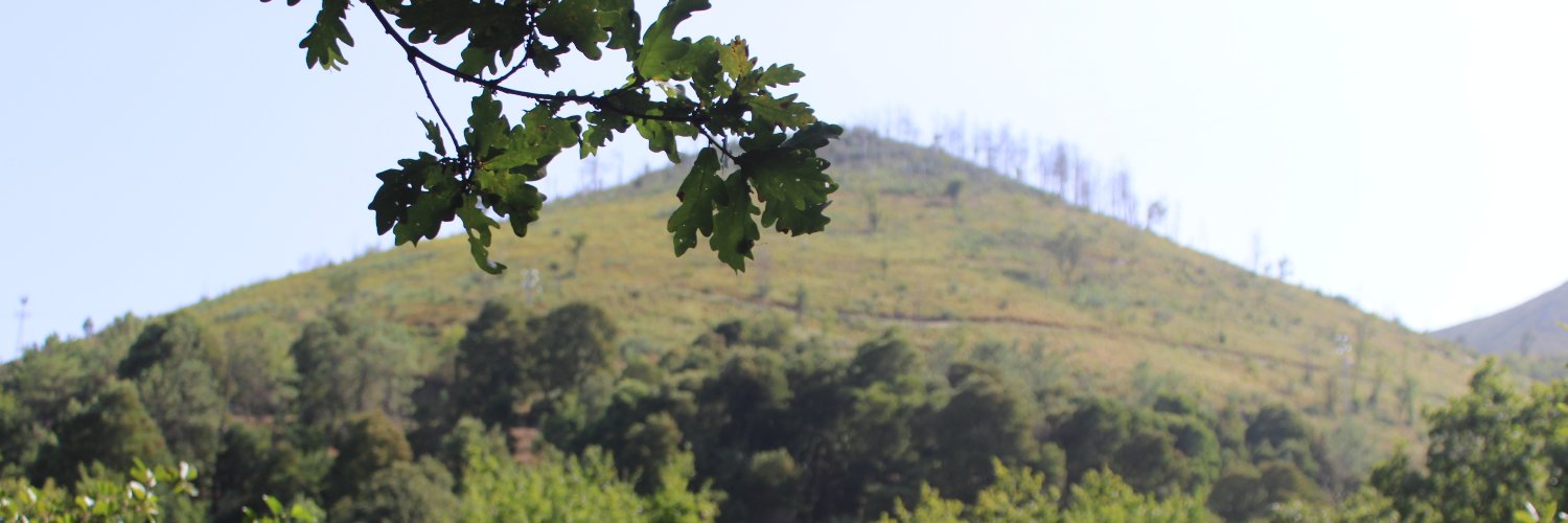 Alexjmota1's profile banner image