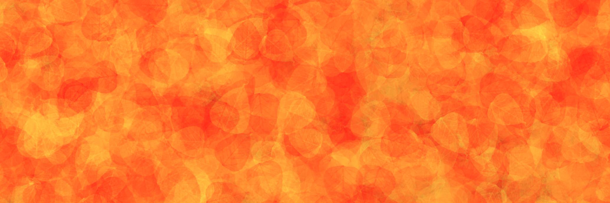 xanderthomas's profile banner image