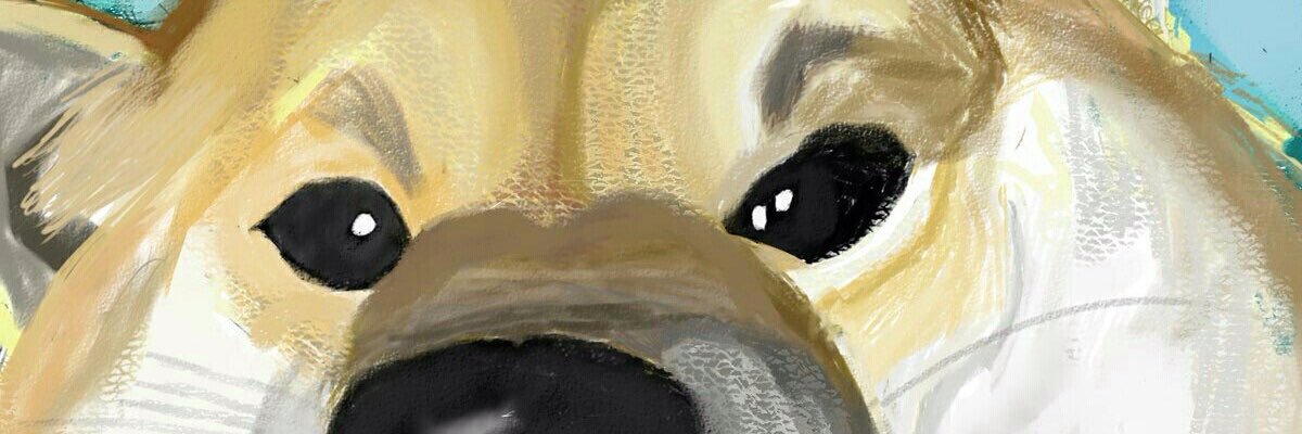 PgpgJujm's profile banner image