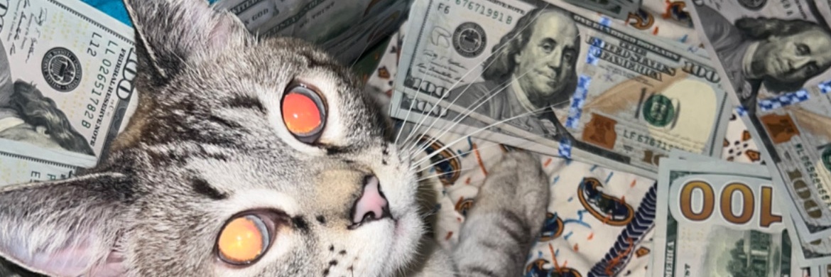 ShawnBinder's profile banner image