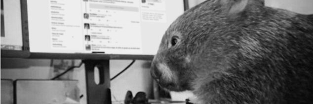 ein_wombat's profile banner image