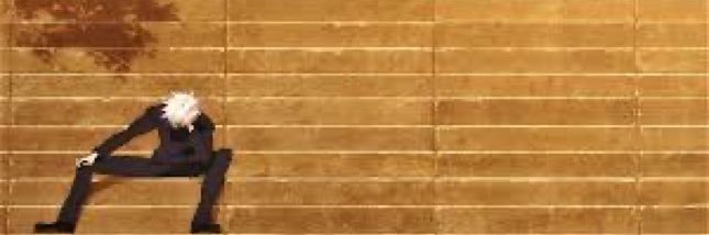 Zeiy banner
