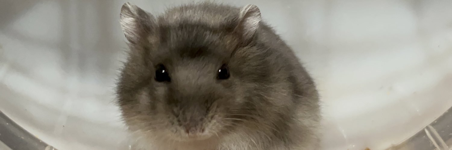 na_murano's profile banner image
