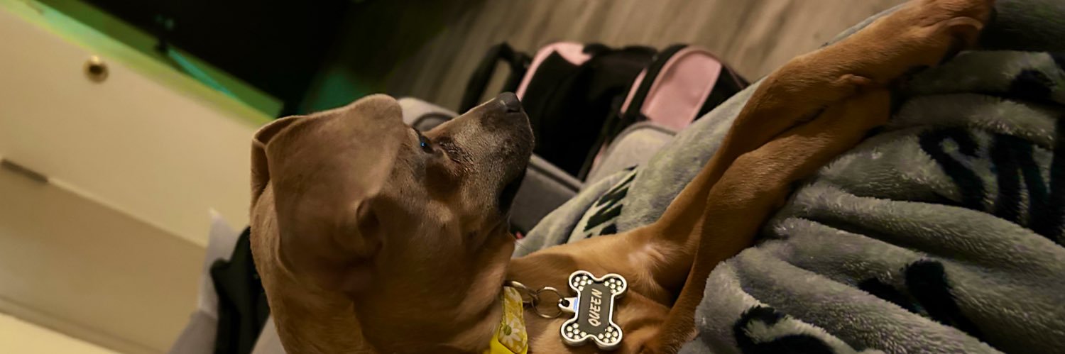 nezzbsf's profile banner image