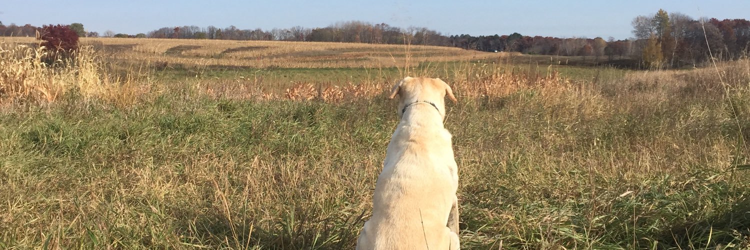 JFischer04's profile banner image