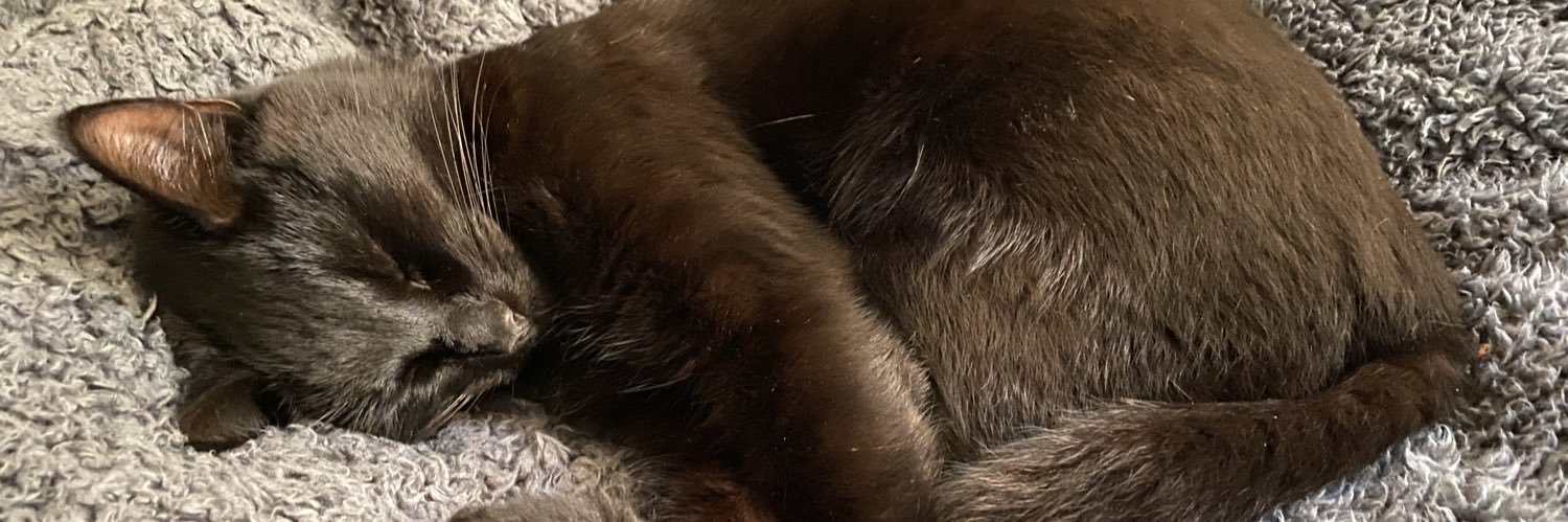 Ink_Feckted's profile banner image