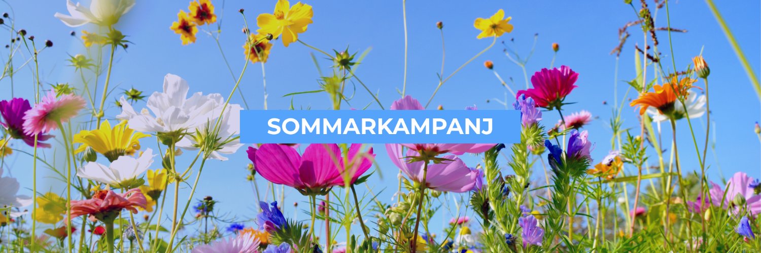 Enmanskonsulterna banner