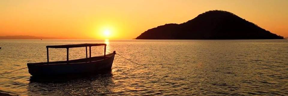 CapeMacTria's profile banner image
