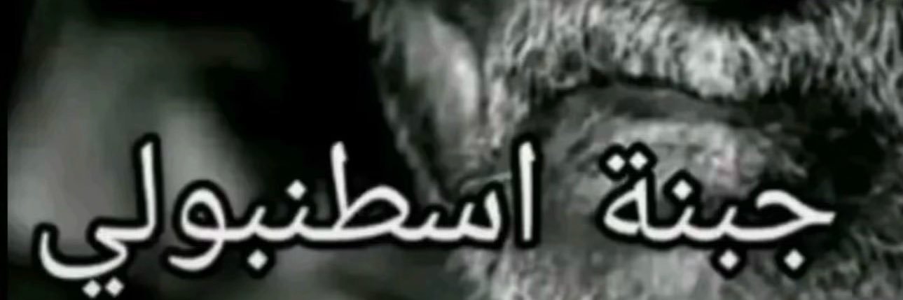MizoOlogy's profile banner image