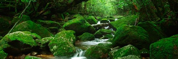 PascaleBracq Profile Banner