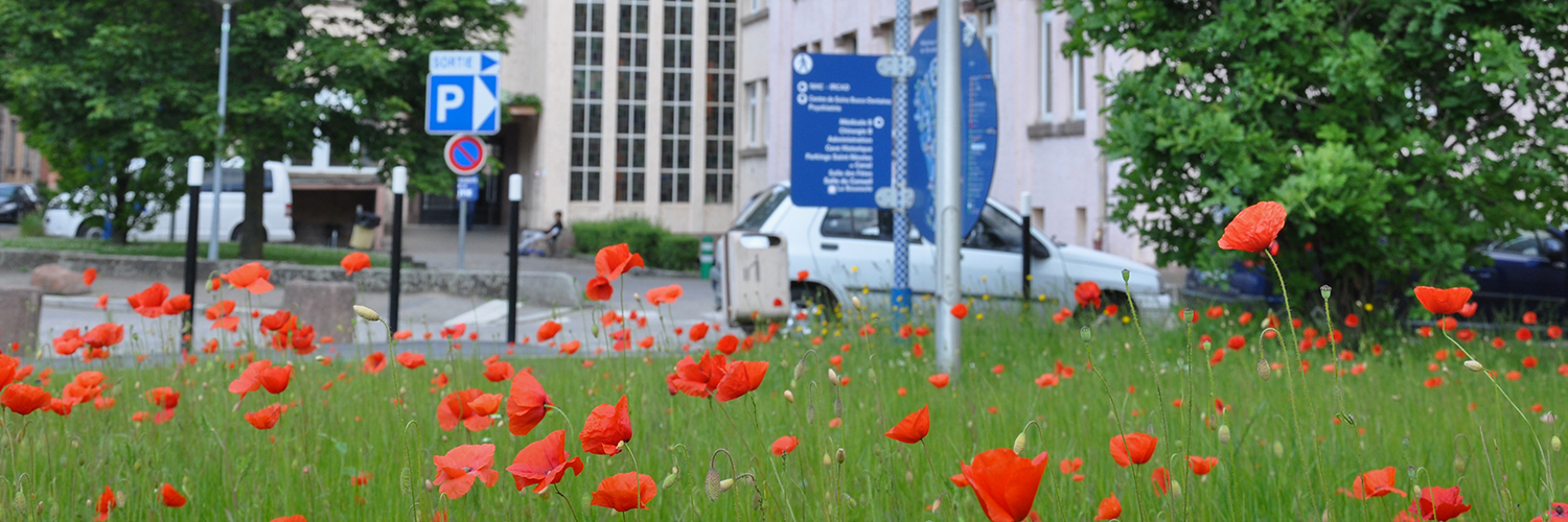 CHRU Strasbourg Profile Banner