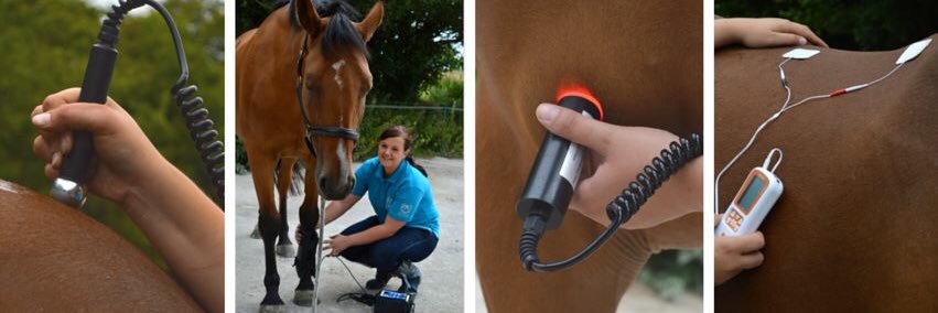jjvetphysio's profile banner image