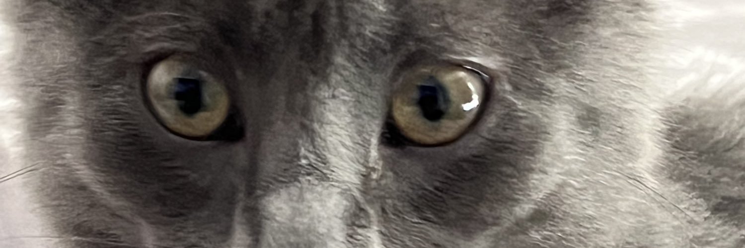 INPRUSTWETRUST's profile banner image