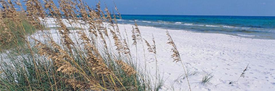 LisaKKell's profile banner image