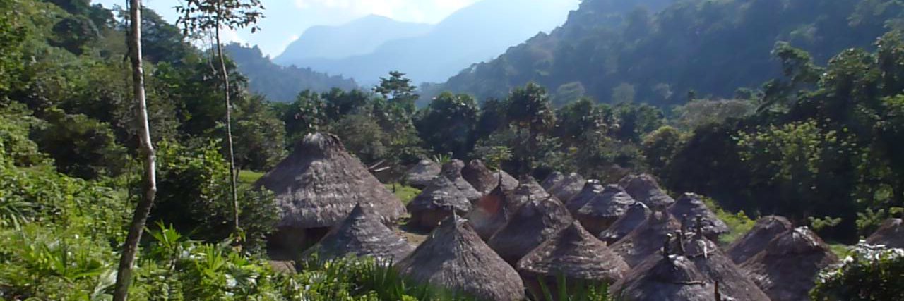 Alba Pellaroque banner