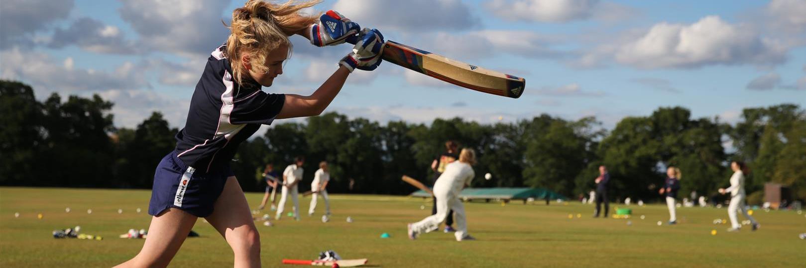 maidencricket's profile banner image