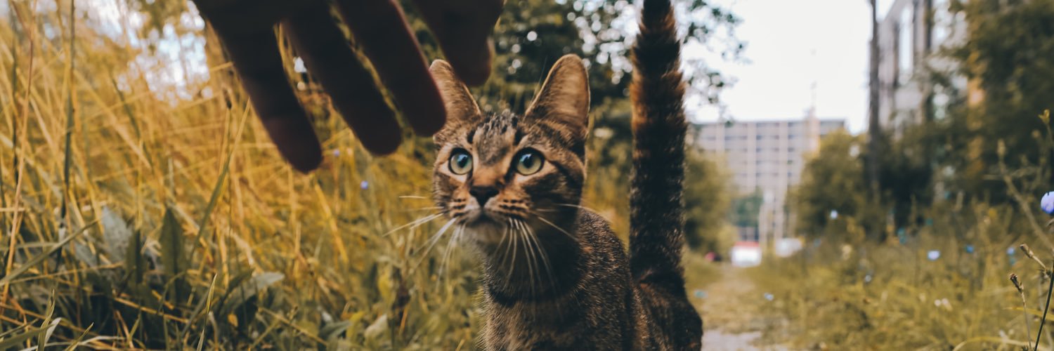 MikeMarionn's profile banner image