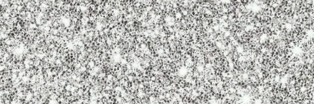 yamila175's profile banner image