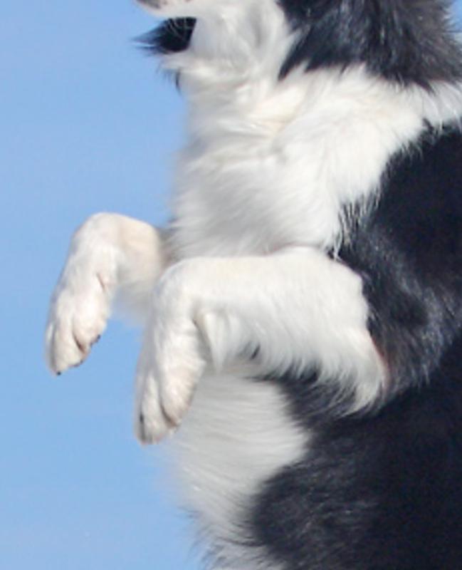 ciderany's profile banner image