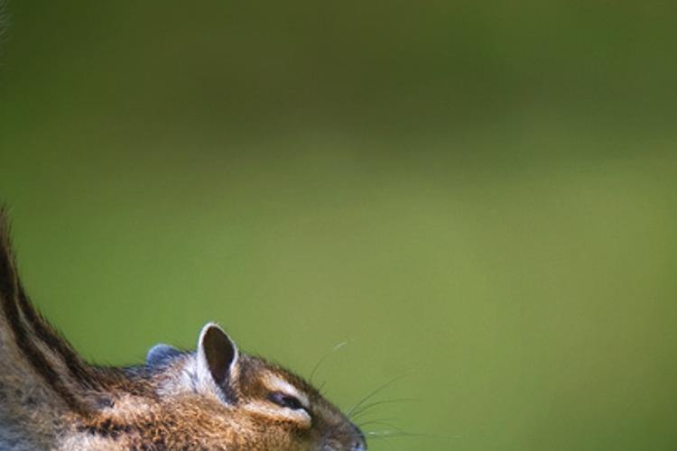ctictcant's profile banner image