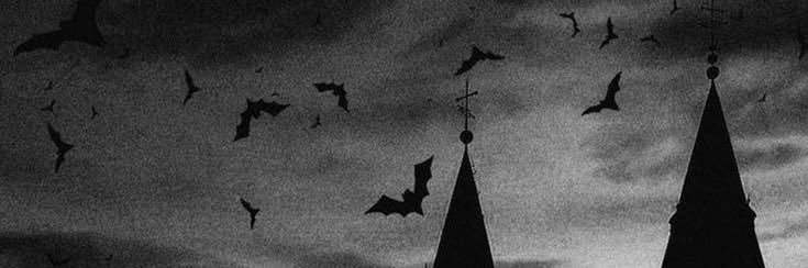 ̶E̶v̶i̶ ̶M̶o̶o̶n̶ 🏳️‍⚧️ banner