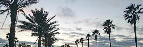 Cityanapolis Profile Banner