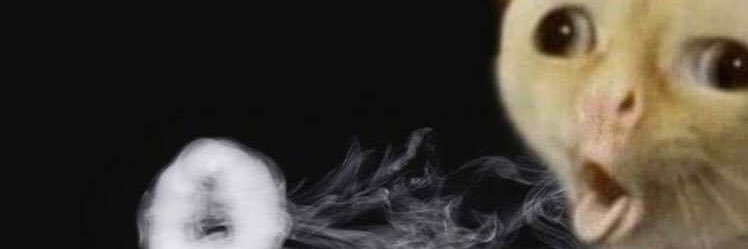 _draperl's profile banner image