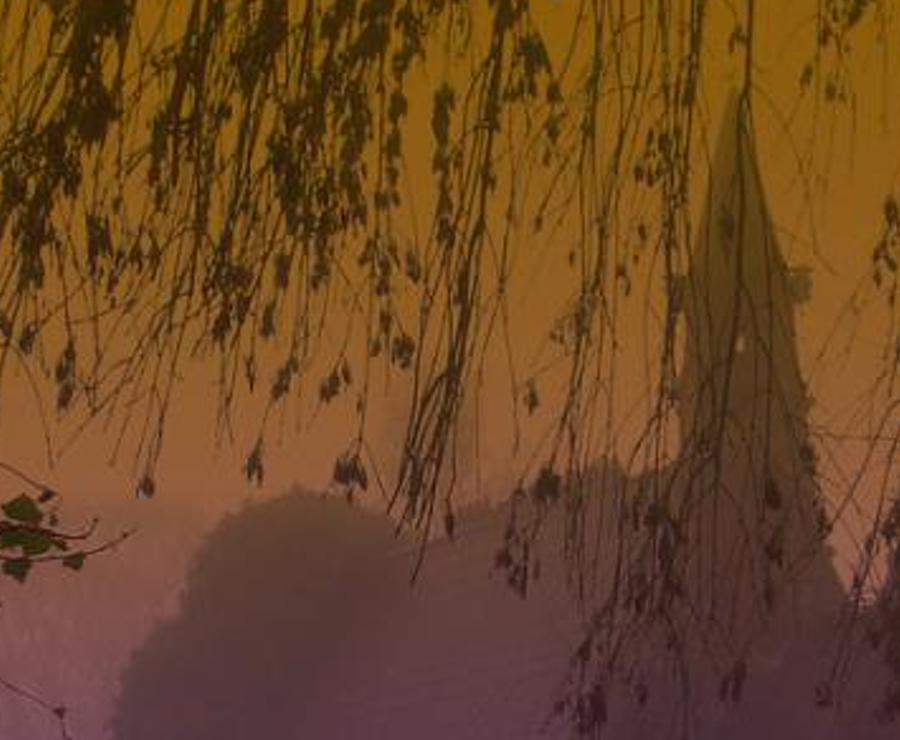 otercunitur's profile banner image
