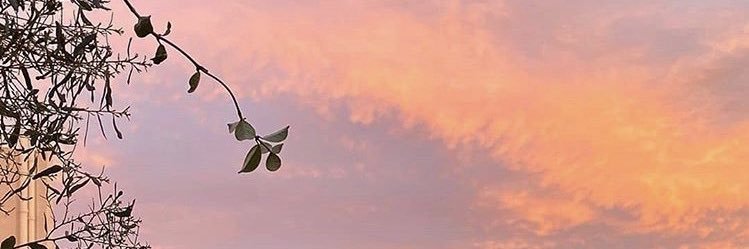 eldevx's profile banner image