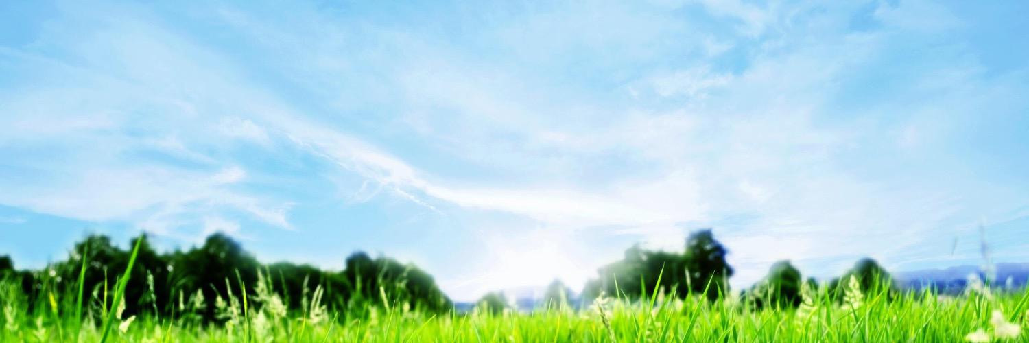 Fionafriedman1's profile banner image