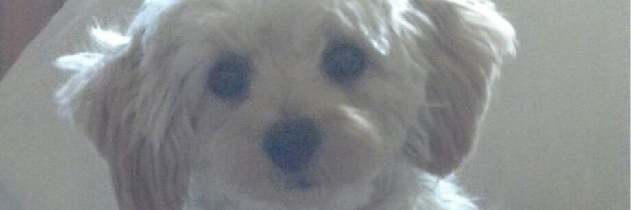 BakerMsbaker4's profile banner image