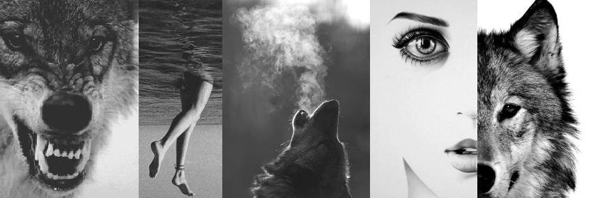 Lara_courbot's profile banner image