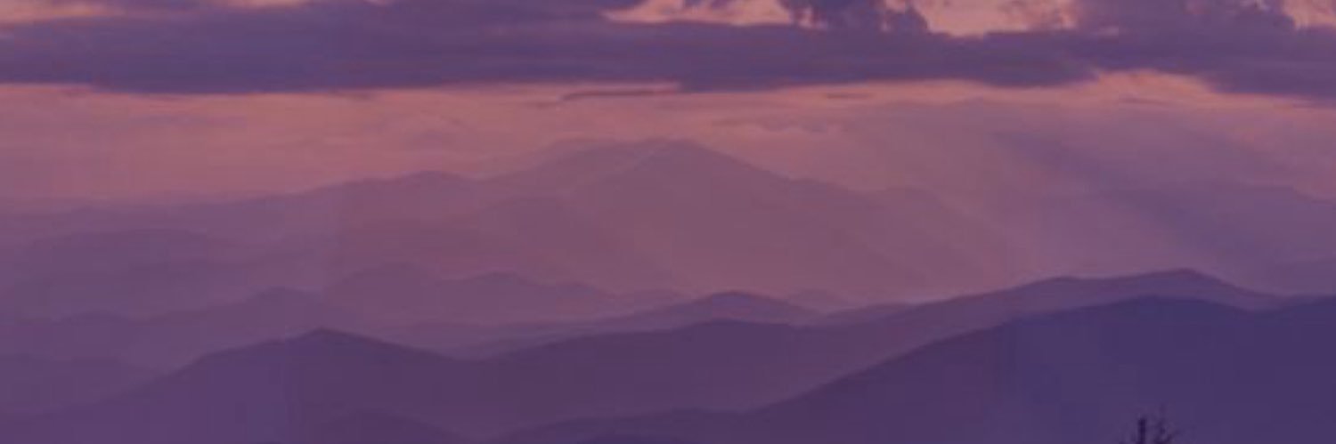 Brittany Kicklighter banner