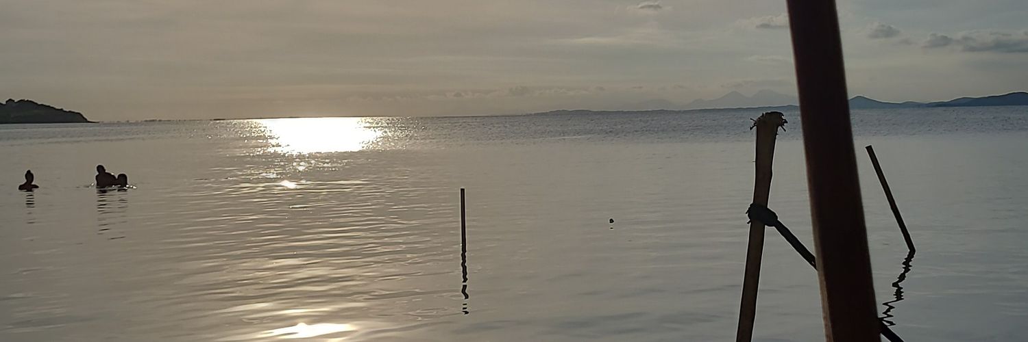 ViegasLopes15's profile banner image