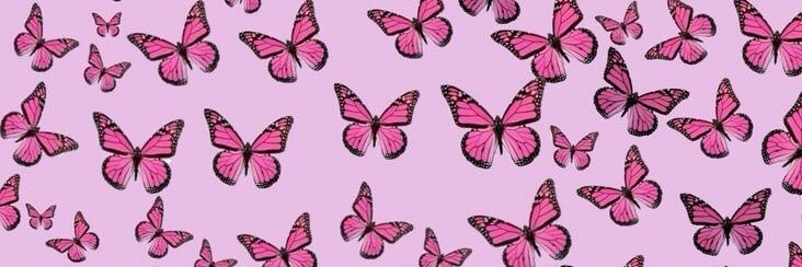 gabmarquesp's profile banner image