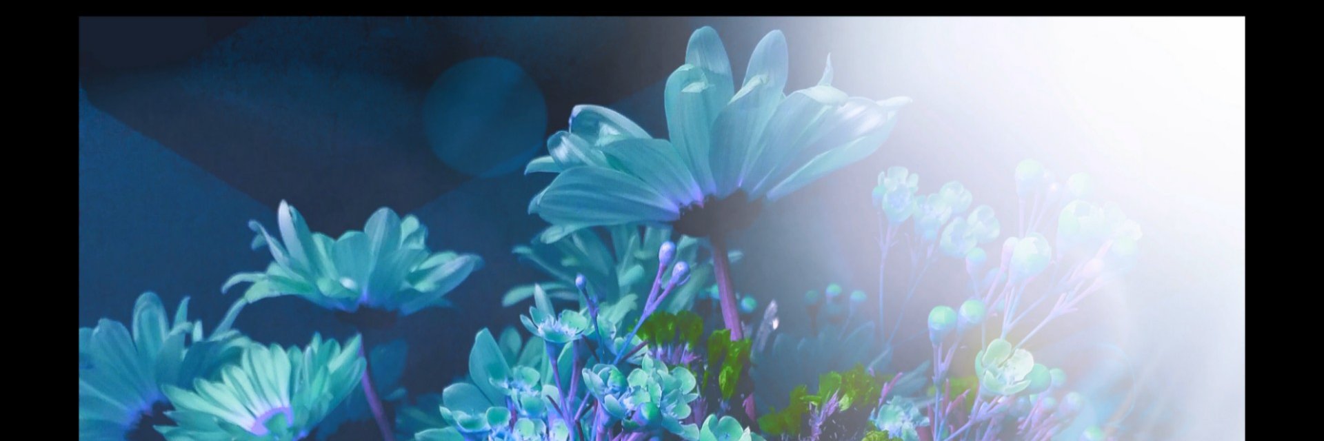 KrystalBlueWave's profile banner image