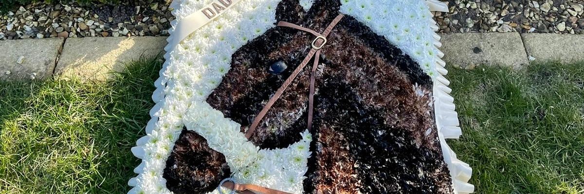 Dawn Williams banner