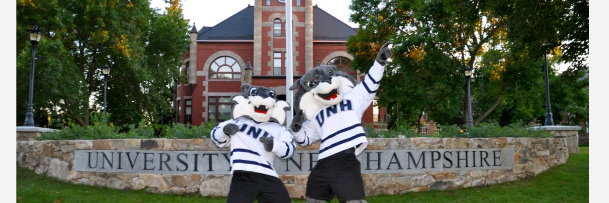 UNHSML's profile banner image