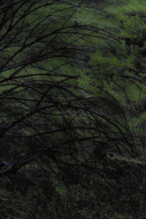 blerelaco's profile banner image