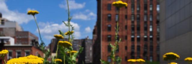 hdhappyhour's profile banner image