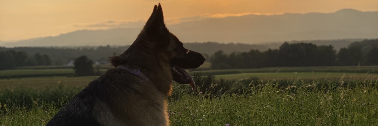 davidper123's profile banner image
