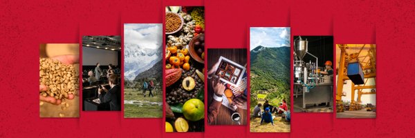 Promperu Profile Banner