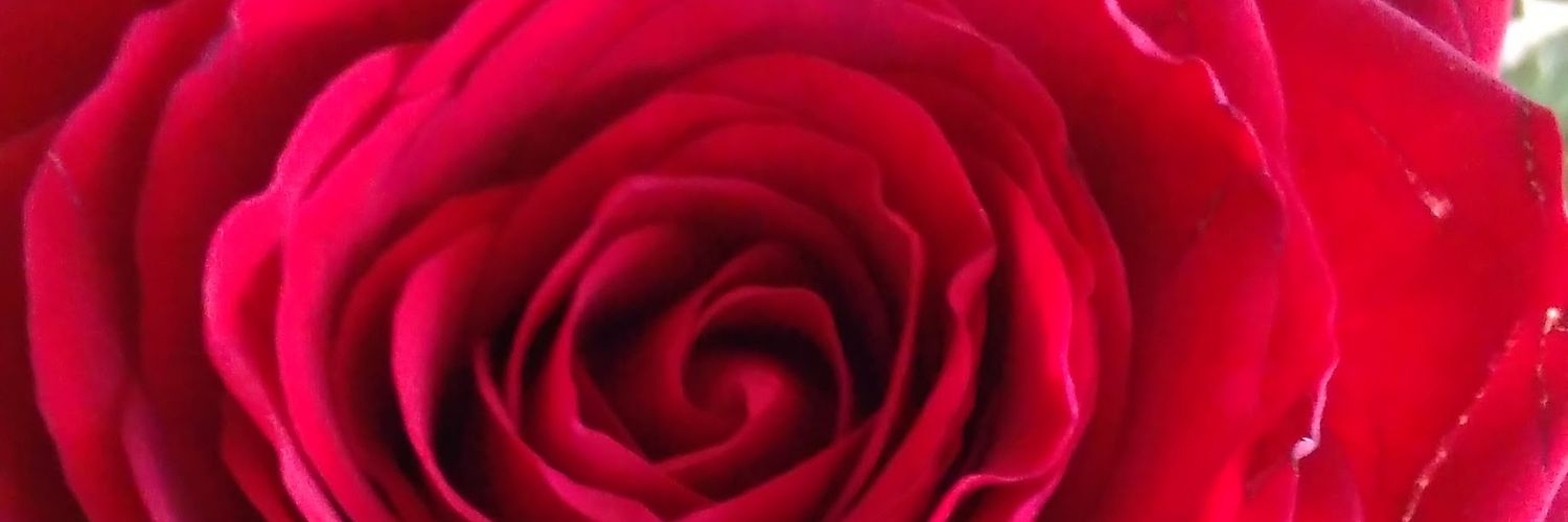 _Sweet_Kami's profile banner image