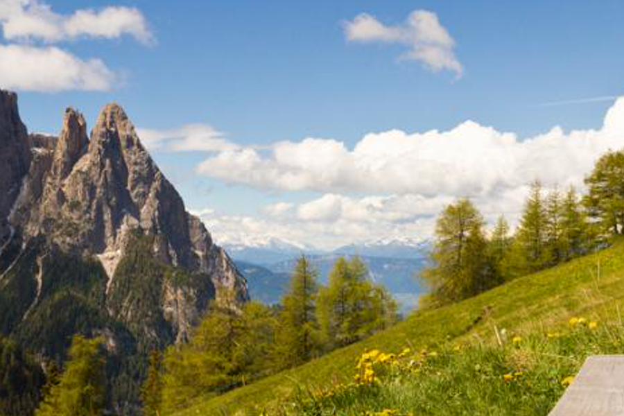 icherea's profile banner image