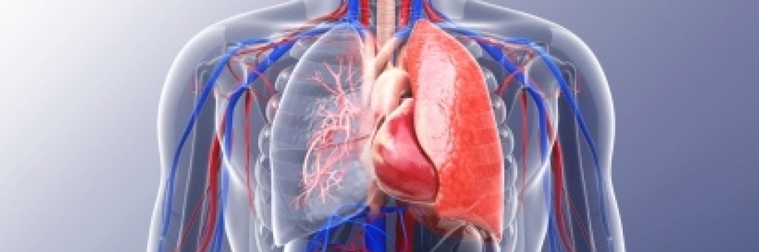 Stacey Forbes (she/her) banner